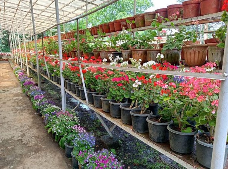 Mussoorie Company Bagh_3